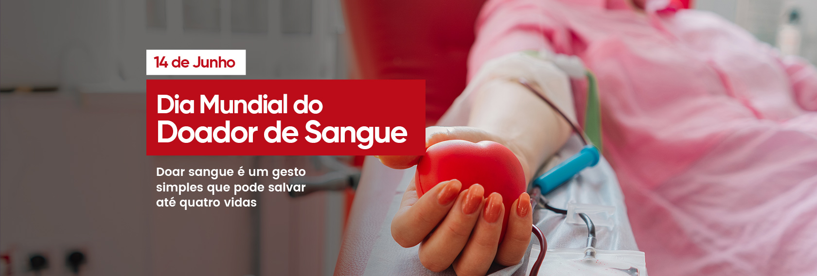 Campanhas de Conscientização data (14)