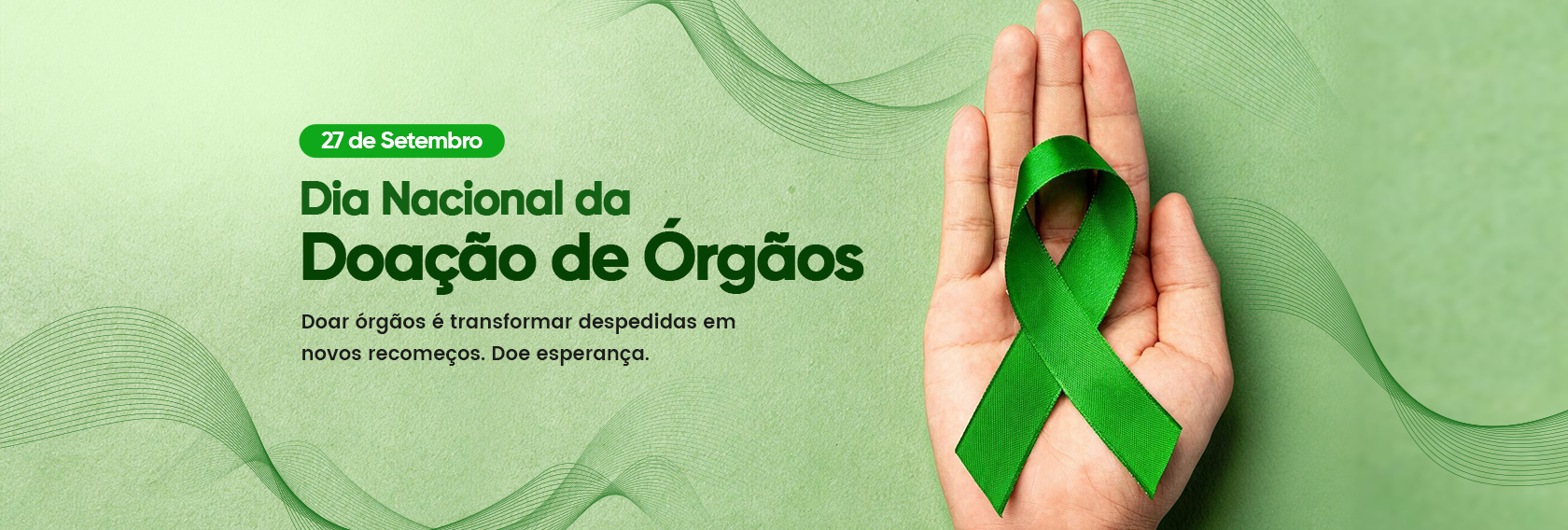 Campanhas de Conscientização data (27)